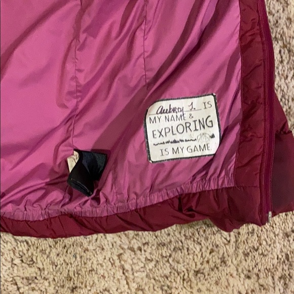 Girl’s North Face Roxbury Pink Gotham Down Jacket - Picture 7 of 11